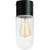 Image de Markslöjd, Plafonnier, ZEN Ceiling 1L Black/Clear IP44
