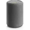 Image de Audio Pro A10 MkII W (Airplay 2, Bluetooth, WiFi), Système multiroom, Gris