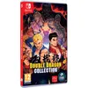 Image de Double Dragon Collection Nintendo Switch Nintendo Switch