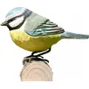 Image de decobird mésange bleue