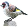 Image de décobird chardonneret