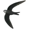 Image de décobird martinet noir suspendu
