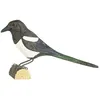 Image de decobird pie bavarde