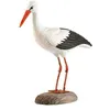 Image de decobird cigogne blanche