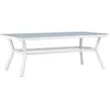 Image de Table de Jardin Virya 200cm Blanc & Gris