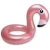 Image de Swim Essentials, Aide à la flottaison