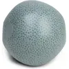 Image de Swim Essentials Wasserball 51cm Green Leopard