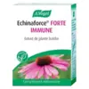 Image de A.Vogel Echinaforce Forte Immune Comprimés