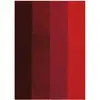 Image de spirella, Tapis de bain, Quatre (65 x 55 cm)