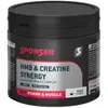 Image de Sponser Sport Food Poudre De Créatine Synergy 320g One Size