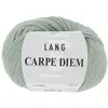 Image de Pelote de Laine et Alpaga à tricoter CARPE DIEM - Lang Yarns(...) - 0092 Vert Sauge