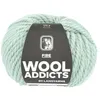 Image de Pelote de laine FIRE - 100GR - Wool Addicts(...) - 0091 Vert