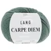 Image de Pelote de Laine et Alpaga à tricoter CARPE DIEM - Lang Yarns(...) - 0093 Vert Lierre