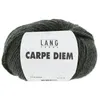 Image de Pelote de Laine et Alpaga à tricoter CARPE DIEM - Lang Yarns(...) - 0398 Vert Chiné