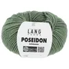 Image de Pelote de laine Vierge Poseidon - Lang Yarns(...) - 91 Vert