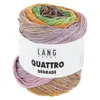 Image de Coton à tricoter et à crocheter QUATTRO DEGRADE - 100GR - Lang Yarns(...) - Multicolore 0014 (Vert-jaune-marron)