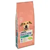 Image de 2x14kg PURINA Dog Chow Senior, agneau - Croquettes pour chien