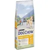 Image de DOG CHOW Croquettes Complet - Avec du poulet - Pour chien adulte - 14 kg