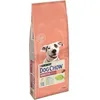Image de DOG CHOW Croquettes - Avec du saumon - Pour chien adulte sensible - 14 kg