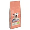 Image de 2x14kg PURINA Dog Chow Adult Sensitive, saumon - Croquettes pour chien