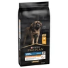 Image de 14kg PURINA PRO PLAN Large Robust Adult, au poulet - pour chien