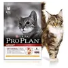 Image de Purina Proplan - Chat Adult Poulet - 3kg