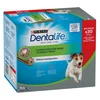 Image de 30 bâtonnets (10x49g) PURINA Dentalife à mâcher, pour chien de petite taille (7-12kg)