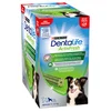 Image de 24 bâtonnets PURINA Dentalife ActivFresh à mâcher pour chien de taille moyenne
