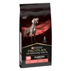 Image de PURINA PRO PLAN Veterinary Diets DM Diabetes pour chien - 12 kg