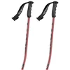 Image de Scott Bâtons Team Issue Gs