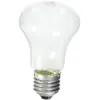 Image de ELINCHROM lampe pilote 100W 196V pour torche D-lite