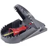 Image de Piège à rats attractif Swissinno 1 180 019 pour lintérieur/extérieur