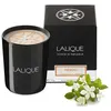 Image de Bougie neroli casablanca lalique