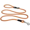 Image de Curli Laisse Stretch Comfort (L, Chien, Général, Promenade), Collier + laisse