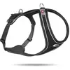 Image de Curli Harnais Magnetic Belka Comfort (L, Chien, Général), Collier + laisse