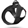 Image de Curli Harnais Vest Air-Mesh L, Noir (L, Chien, Général), Collier + laisse