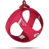 Image de Curli Harnais Vest Air-Mesh 2XS, Rouge (XXS, Chien, Général), Collier + laisse
