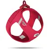 Image de Curli Harnais Vest Air-Mesh XS, Rouge (XS, Chien, Général), Collier + laisse