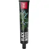 Image de Splat, Dentifrice, Blackwood (75 ml)