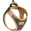 Image de Curli Harnais cuir de pomme, 2XS, Noir (XXS, Chien, Général), Collier + laisse