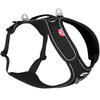 Image de Curli Belka harnais cou réglable, noir taille 3XL : 70,2 - 78,9 cm Chien