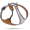 Image de Curli Glow Belka harnais, gris T. 4XL : Tour de poitrine 79-92cm chien