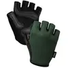Image de Suarez Gants Courts Sallow 2.4 M