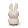 Image de Atelier Pierre - Tirelire Miffy uni - Beige -