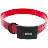 Image de Collier pour chien I-DOG Premium Rouge 3,5 mm I152502
