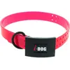 Image de Collier pour chien I-DOG Premium Rose 3,5 mm I152503