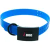 Image de Collier pour chien I-DOG Premium Bleu 3,5 mm I152505