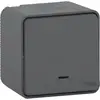 Image de Schneider Electric Interrupteur Va-et-vient Mureva - Anthracite