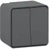 Image de Schneider Electric Double Interrupteur Va-et-Vient Mureva - Anthracite