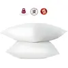 Image de Abeil Oreillers Anti-acariens - 60 x 60 cm